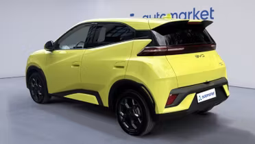 BYD Dolphin Surf