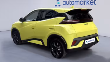 BYD Dolphin Surf