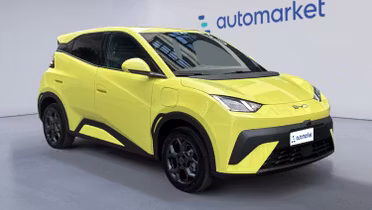BYD Dolphin Surf