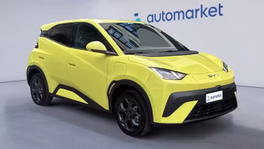 BYD Dolphin Surf