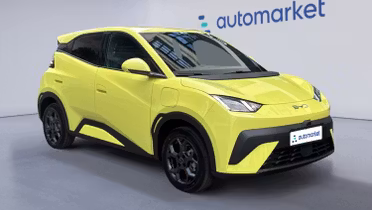 BYD Dolphin Surf