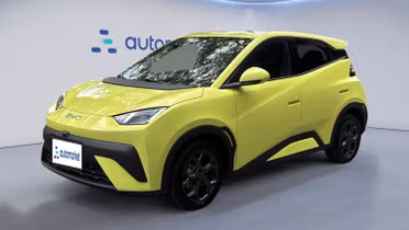 BYD Dolphin Surf