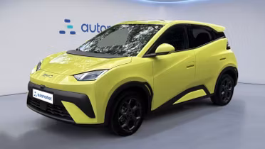 BYD Dolphin Surf