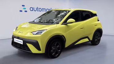 BYD Dolphin Surf