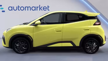 BYD Dolphin Surf