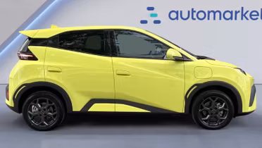BYD Dolphin Surf
