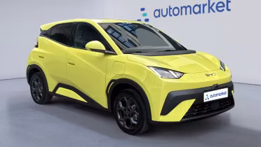 BYD Dolphin Surf