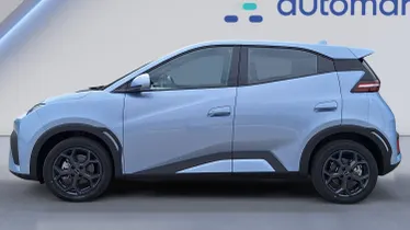 BYD Dolphin Surf