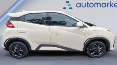BYD Dolphin Surf