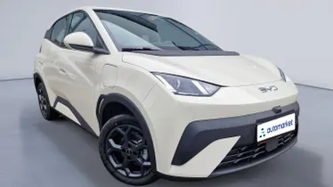 BYD Dolphin Surf