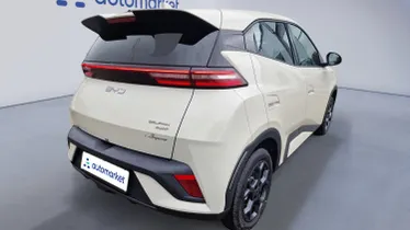 BYD Dolphin Surf