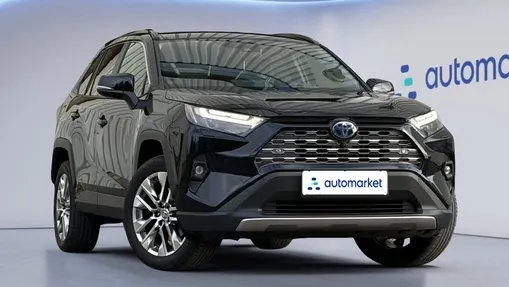 TOYOTA RAV4 RAV4 2.5 Hybrid Executive 4x4