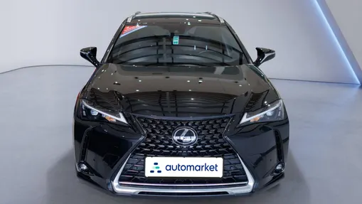 LEXUS UX UX 250h GPF Business Edition 2WD
