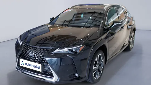 LEXUS UX UX 250h GPF Business Edition 2WD