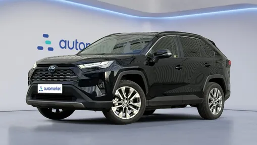 TOYOTA RAV4 RAV4 2.5 Hybrid Executive 4x4