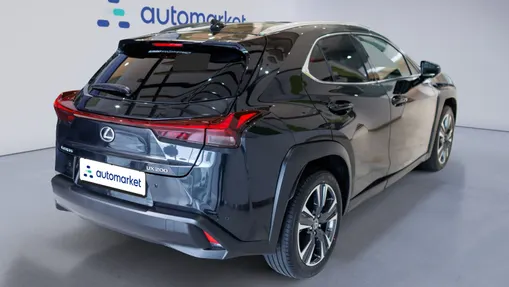 LEXUS UX UX 250h GPF Business Edition 2WD