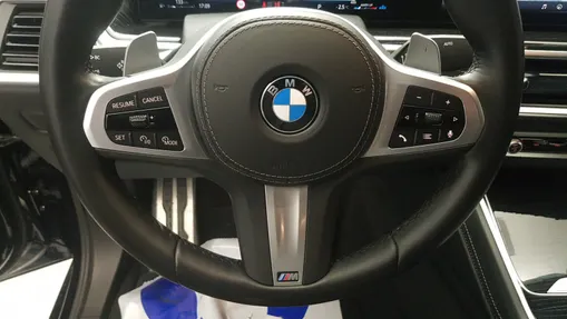 BMW X6 X6 xDrive30d mHEV sport-aut