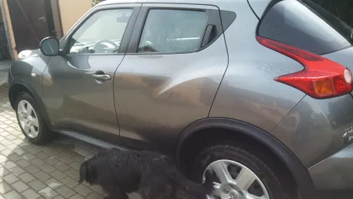 NISSAN Juke -