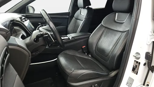 HYUNDAI Tucson Tucson 1.6 T-GDi HEV Platinum 4WD