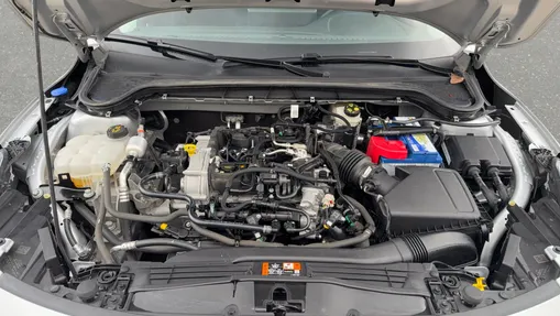 FORD Focus Focus 1.0 EcoBoost mHEV Titanium X aut