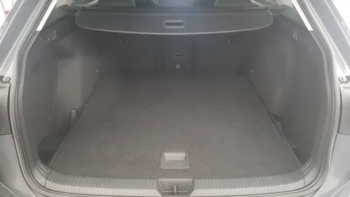 VOLKSWAGEN Golf Golf VIII 1.5 TSI EVO Style