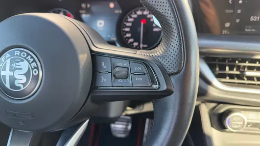 ALFA ROMEO Stelvio Stelvio 2.0 Turbo Veloce Q4 aut