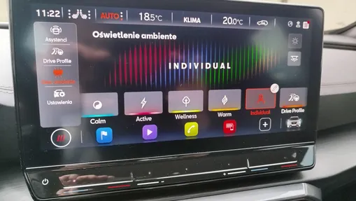 CUPRA Formentor Formentor 2.0 TSI 4Drive VZ DSG