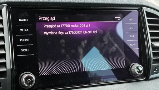 SKODA Karoq Karoq 1.5 TSI ACT Selection DSG