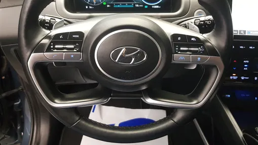 HYUNDAI Tucson Tucson 1.6 T-GDi HEV Executive 4WD