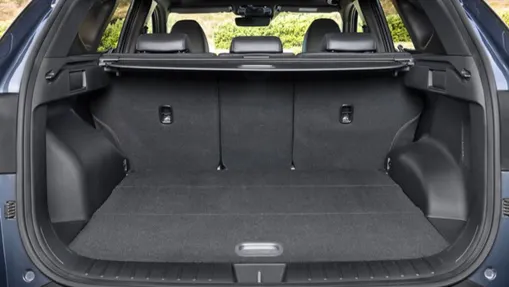 HYUNDAI Tucson Tucson 1.6 T-GDi HEV Platinum 4WD Nowy
