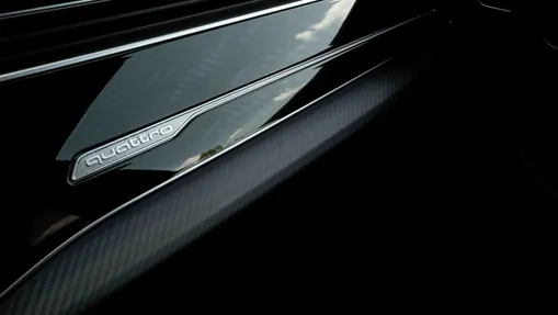 AUDI Q8 / E-Tron RS Q8 TFSI mHEV Quattro Tiptronic