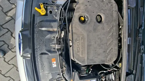 FORD Focus Focus 1.6 TDCi Trend +