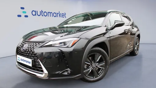 LEXUS UX UX 250h GPF Business 2WD