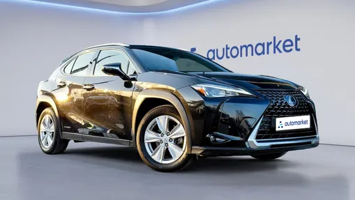 LEXUS UX UX 250h GPF Business 2WD