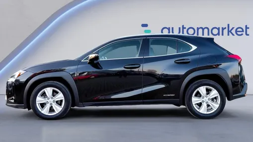 LEXUS UX UX 250h GPF Business 2WD