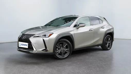 LEXUS UX UX 250h GPF Business Edition 2WD