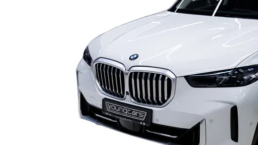 BMW X5 X5 xDrive30d mHEV sport-aut