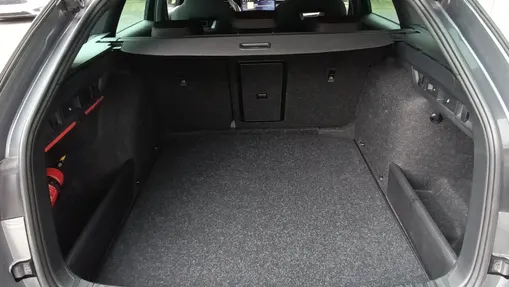 SKODA Octavia Octavia 2.0 TSI RS DSG