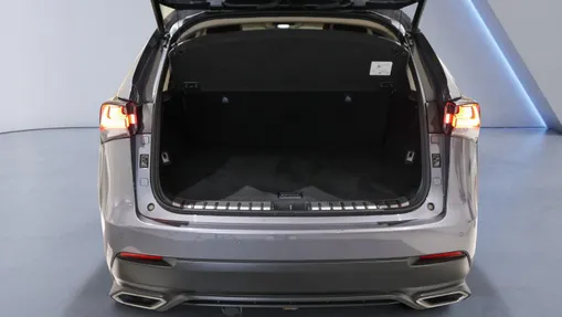 LEXUS NX NX 300 F Impression AWD