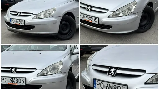 PEUGEOT 307 -