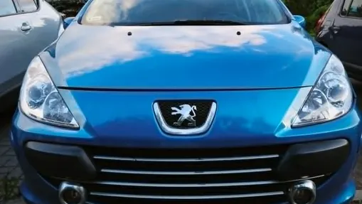 PEUGEOT 307 -