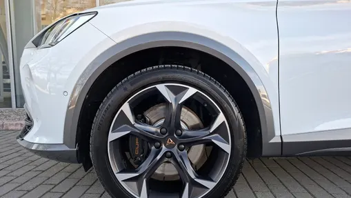 CUPRA Formentor Formentor 2.0 TSI 4Drive VZ DSG