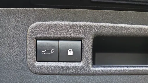LEXUS NX NX 300h F Impression AWD