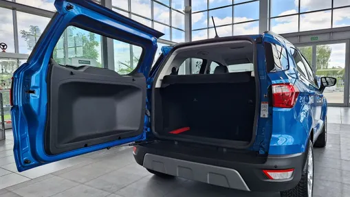 FORD Ecosport Ecosport 1.0 EcoBoost GPF Titanium ASS
