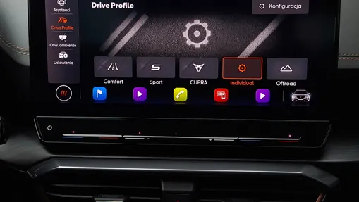 CUPRA Formentor Formentor 2.0 TSI 4Drive VZ DSG