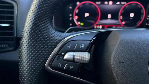 SKODA Karoq Karoq 2.0 TDI SCR 4x4 Sportline DSG