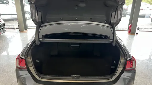 LEXUS ES ES 300h Business Edition +