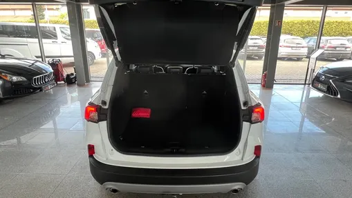 FORD Kuga Kuga 2.0 EcoBlue AWD Titanium X aut