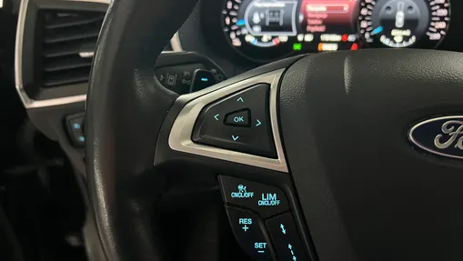 FORD S-MAX S-MAX 2.0 EcoBlue AWD Vignale aut