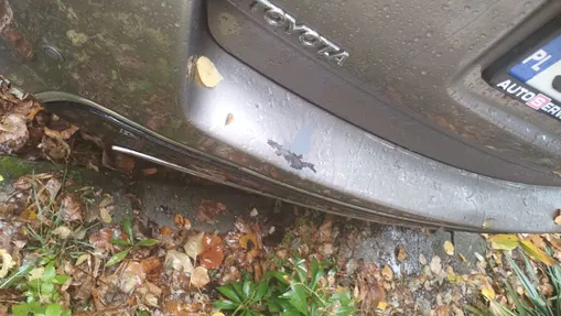 TOYOTA Auris -